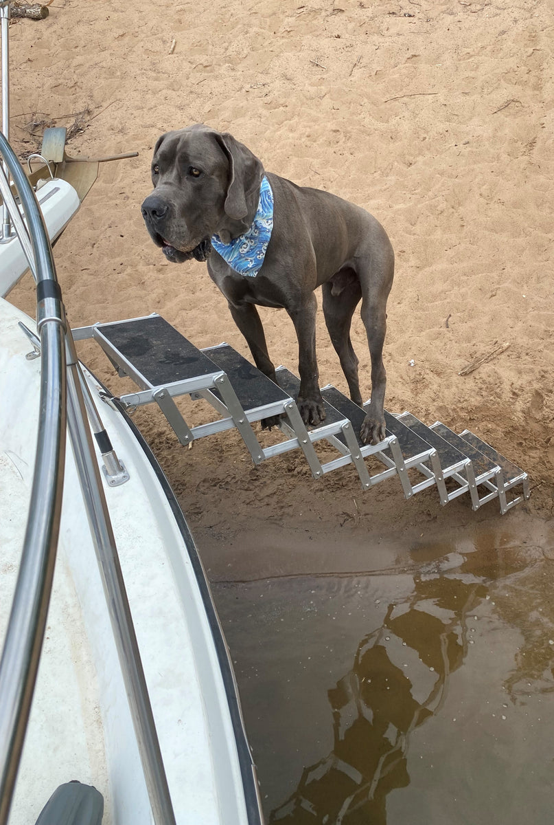 Dog stairs hotsell for dock