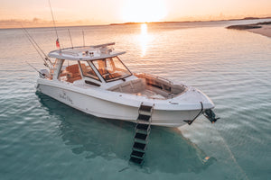 boston whaler with beach ladder at sunset